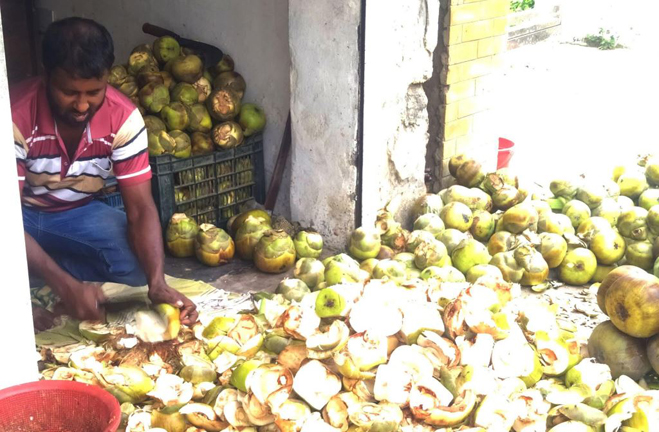 জনপ্রিয় ফল তালের শাঁস, মেলে স্বাস্থ্য উপকারিতা