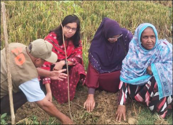 পাঁচবিবির গ্রামীণ সড়কে গাছের চারা রোপণ