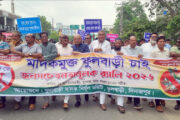 মাদকমুক্ত ফুলবাড়ী উপজেলা গড়ার অঙ্গীকার নিয়ে জনসচেতনামূলক শোভাযাত্রা