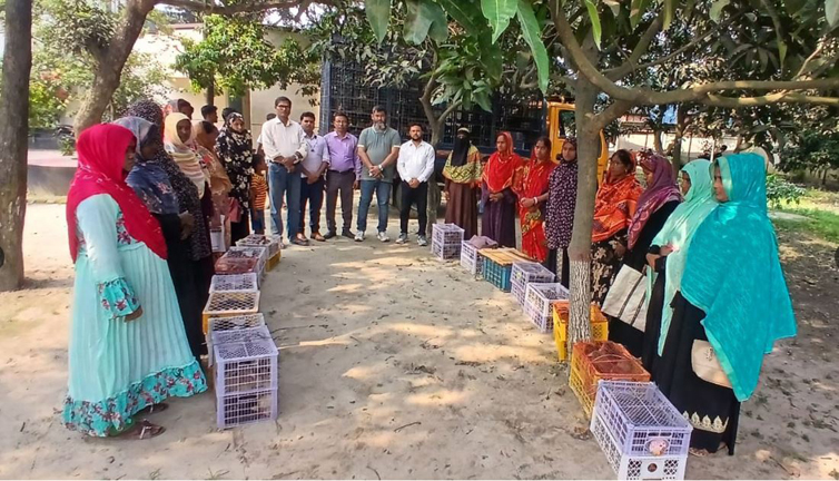 ফুলবাড়ী ব্র্যাক অফিসে হাঁসের বাচ্চা পালন প্রশিক্ষণ ও বিতরণ কর্মসূচী অনুষ্ঠিত