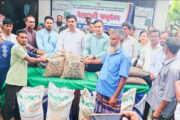 ফুলবাড়ীতে সাড়ে তিন হাজার ক্ষুদ্র ও প্রান্তিক কৃষকের মাঝে বিনামূল্যে সার ও রোপা আমন ধানের বীজ বিতরণ