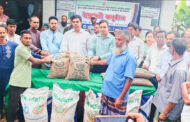 ফুলবাড়ীতে সাড়ে তিন হাজার ক্ষুদ্র ও প্রান্তিক কৃষকের মাঝে বিনামূল্যে সার ও রোপা আমন ধানের বীজ বিতরণ