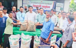 ফুলবাড়ীতে সাড়ে তিন হাজার ক্ষুদ্র ও প্রান্তিক কৃষকের মাঝে বিনামূল্যে সার ও রোপা আমন ধানের বীজ বিতরণ