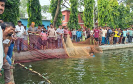 ফুলবাড়ীতে বিদ্যালয়ের পুকুরে গোসল করতে নেমে নবম শ্রেণির শিক্ষার্থী নিখোঁজ