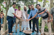 ধুনট পৌর এলাকায় ৫ লাখ টাকায় আরসিসি রাস্তা নির্মাণ কাজের উদ্বোধন