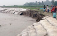 ধুনটে ভয়াবহ রূপ নিয়েছে যমুনার ভাঙন, জিও ব্যাগ-টিউবও টিকছে না স্রোতের তোড়ে   