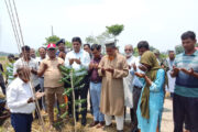 ফুলবাড়ীতে বৃক্ষরোপণ কর্মসূচির উদ্বোধন