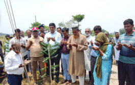 ফুলবাড়ীতে বৃক্ষরোপণ কর্মসূচির উদ্বোধন