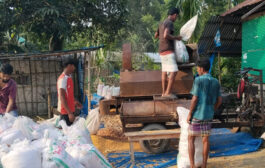 পঞ্চগড়ে বাড়ছে ভুট্টার চাষ