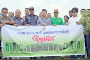 হিলিতে বৃক্ষরোপণ কর্মসূচির উদ্বোধন
