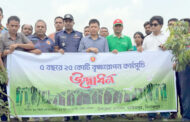 হিলিতে বৃক্ষরোপণ কর্মসূচির উদ্বোধন
