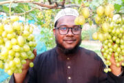আঙ্গুর চাষে সফল পাঁচবিবির যুবক আবু হুরায়রা