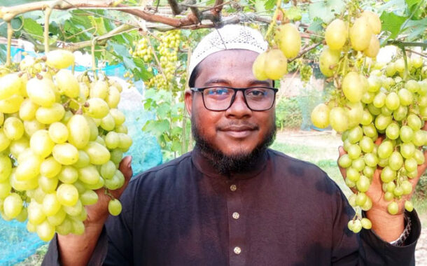 আঙ্গুর চাষে সফল পাঁচবিবির যুবক আবু হুরায়রা