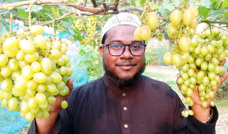 আঙ্গুর চাষে সফল পাঁচবিবির যুবক আবু হুরায়রা