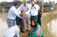 পাঁচবিবিতে খালপাড়ে বৃক্ষরোপণ করলেন ইউএনও কাশপিয়া তাসরিন