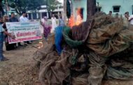 ফুলবাড়ীতে নিষিদ্ধ চায়না দুয়ারি জাল আগুনে পুড়িয়ে ধ্বংস