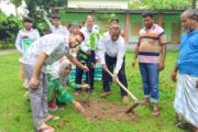 বিরলে বৃক্ষ রোপণ ও চারা বিতরণ কর্মসুচির উদ্বোধন
