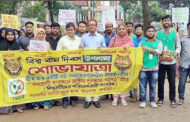 বগুড়ায় আন্তর্জাতিক বাঘ দিবসে তীরের শোভাযাত্রা