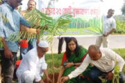 পাঁচবিবির রাস্তায় ফুল-ফলের গাছ রোপণ  করেন ইউএনও কাশপিয়া তাসরিন