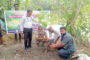 বিরলে বৃক্ষরোপণ কর্মসুচি পালন