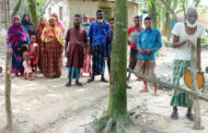 একটি গাছে রাস্তা বন্ধ দুর্ভোগে ৪০টি পরিবার