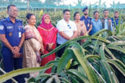 পাঁচবিবির ড্রাগন বাগান পরিদর্শন করেন পুলিশের ডিআইজি আশিক সাঈদ