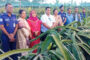 পাঁচবিবি থানা পুলিশ বিপুল পরিমাণ ফেন্সিডিল উদ্ধার করেছে