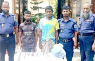 দুপচাঁচিয়ায় ডাকাতির প্রস্তুতিকালে দুই ডাকাত গ্রেপ্তার