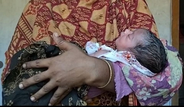 ভোরের নীরবতা ভেঙে নবজাতকের কান্না, জঙ্গল থেকে উদ্ধার