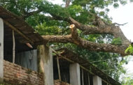 পাঁচবিবিতে গাছের ডালে বিদ্যালয়ের টিনের চালার ক্ষতি, বন্ধ ঢালাই কাজ