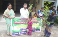 বিরলে গাছের চারা বিতরণ
