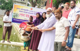 পাঁচবিবিতে জলাশয়ে পোনা মাছ অবমুক্ত