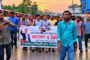 পরিকল্পিত সন্ত্রাস-নৈরাজ্যের প্রতিবাদে পলাশবাড়ীতে যুবদলের বিক্ষোভ মিছিল ও সমাবেশ