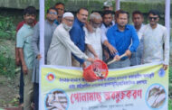 ধুনটে সরকারি জলাশয়ে ২৮৬ কেজি মাছের পোনা অবমুক্ত
