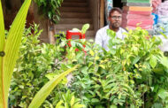 ফুটপাতে সবুজের ফেরিওয়ালা বেলাল, কুড়ি বছর ধরে বিক্রয় করেন ফল-ফুলের চারা