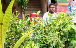 ফুটপাতে সবুজের ফেরিওয়ালা বেলাল, কুড়ি বছর ধরে বিক্রয় করেন ফল-ফুলের চারা