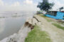 ধুনটে যমুনার শহড়াবাড়ি নৌবন্দরে ভয়াবহ ভাঙন, তিন মাসে বিলীন ৬০০ মিটার
