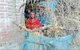 দীর্ঘ ৫ দিন পর প্রশাসনের হস্তক্ষেপে মুক্তি পেলেন আমেনা বেগম