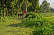 ঠাকুরগাঁওয়ে বিএসএফের গুলিতে এক বাংলাদেশী নিহত, আহত ২