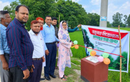 দিনাজপুরে বজ্রপাত নিরোধে তাল গাছের চারা রোপণ করেছে
