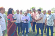 বিরামপুরে জাতীয় বিশ্ববিদ্যালয়ের আঞ্চলিক ক্যাম্পাসের সম্ভাব্য স্থান পরিদর্শন