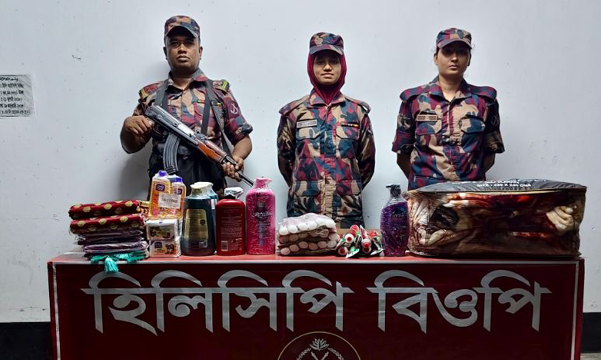হিলি সীমান্তে ৬০ হাজার টাকার ভারতীয় পণ্য জব্দ