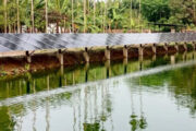 পাঁচবিবিতে সোলার বিদ্যুতেই চলছে বাসাবাড়ি ও ব্যবসা প্রতিষ্ঠান