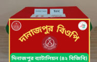 দিনাজপুরে ৪২ বিজিবি'র বিশেষ অভিযানে ভারতীয় মাদক উদ্ধার