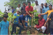 সান্তাহারে রক্তদহ বিলপাড়ে দুই হাজার গাছের চারা রোপণের উদ্যোগ