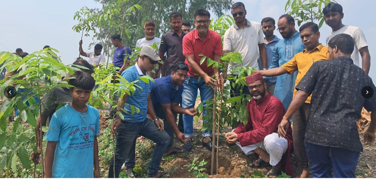 সান্তাহারে রক্তদহ বিলপাড়ে দুই হাজার গাছের চারা রোপণের উদ্যোগ