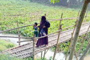 বোয়ালমারীতে একটি সেতুর অভাবে ভোগান্তিতে ৯ গ্রামের মানুষ