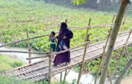 বোয়ালমারীতে একটি সেতুর অভাবে ভোগান্তিতে ৯ গ্রামের মানুষ